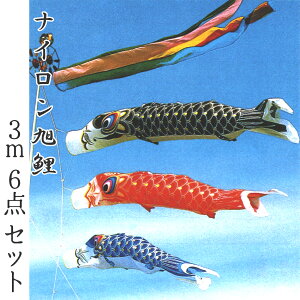 ̂ڂ iC 3m6_Zbg 2020N̂ڂ NA00036S