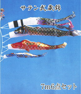 ̂ڂ Te 7m6_Zbg  2020N̂ڂ SM0076MSyE(ʓr)z