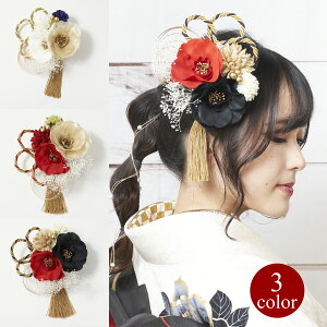  wAANZT[ R[ Watmosphere gXtBA 22W161 ԍ  ԋ  _A { c[g˂R ^bZ l Ǝ OB U  