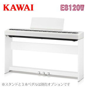 yʌI撅őfGȃv[g܂zKAWAI ͍y퐻쏊 JC / fW^sAm dqsAm GLsAm / ES120Filo ES120W y_p[y_tzyX^hE3{y_