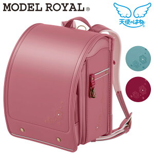 Vĝ͂ 2026Nw2025NhZ fCEWI {^jJ ̎q MODEL ROYAL Regio ZCo  A4tbgt@CΉ ^ubg|Pbgt }`12cm RG24G