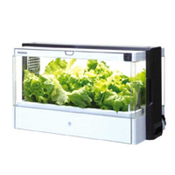 楽天市場】ユーイング 水耕栽培器セット Green Farm(グリーンフォーム 