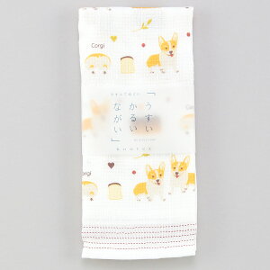 Ăʂ^I z R[M[ ̓{ Ck 