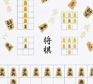 �R���e�b�N�X �t�F�C�X�^�I�� �z����� ��H �T���h�x�[�W�� ��33×100cm 51824-049