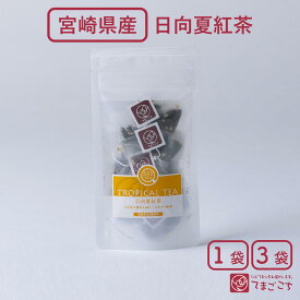日向夏紅茶(2g×5包×1・3袋)宮崎県産 九州産 国産 トロピカル紅茶 フレーバーティー 和紅茶 朝色紅茶 フルーツティー 果物 柑橘 デカフェ ノンカフェイン カフェインレス 爽やかな風味 さっぱり 贅沢 取り寄せ プレゼント 贈 ギフト 入学 卒業祝い ホワイトデー