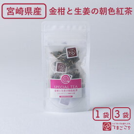 金柑と生姜の朝色紅茶(2g×5包×1・3袋)宮崎県産 九州 国産 トロピカル紅茶 フレーバーティー 和紅茶 ジンジャー 生姜紅茶 しょうが紅茶 金柑 柑橘 健康 美容 温活 冷え性 ダイエット ノンカフェイン デカフェ 贈 プレゼント ギフト 入学 卒業祝い ホワイトデー