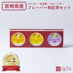 gsJgZbg(2g×3×3E){茧 B Y t[o[eB[ ag }S[eB[ u[x[ čg t[ceB[ k ʕ mJtFC JtFCX 