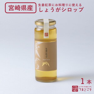 ʌIIVbv(240g×1E3{){茧 B Y WW[  ₦΍  Y F VR R ח\h Ɖu N WW[G[ I 傤 Ig IĂ