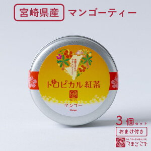 }S[g(2g×3×1E3){茧Y B Y gsJg t[o[eB[ ag Fg }S[eB[ t[ceB[ ʕ fJtF mJtFC JtFCX Z F