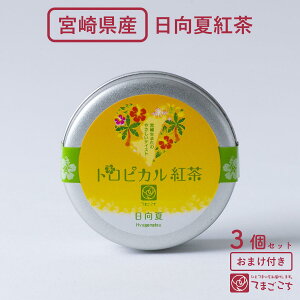 čg(2g×3×1E3){茧Y B Y gsJg t[o[eB[ ag Fg t[ceB[ ʕ k fJtF mJtFC JtFCX u₩ȕ ς