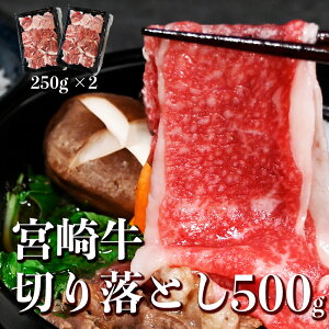 󂠂 јa ؂藎Ƃ 500g hV̓ Mtg a ΂   ₫ A5 A4  {苍 ؂藎Ƃ500g(250g×2pbN)