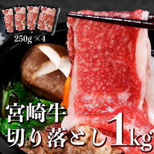 󂠂 јa ؂藎Ƃ 1kg hV̓ Mtg a ΂   ₫ A5 A4  {苍؂藎Ƃ1kg(250g×4pbN)