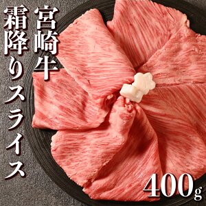 Mtg Ε 󂠂 јa [X 400g a J^@Ef  ₫ A5 A4  {苍 [X400g