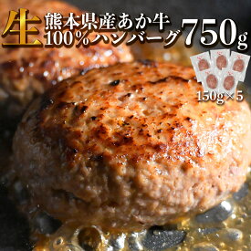 あか牛 ハンバーグ 褐毛和種 牛肉 お取り寄せ 小分け 冷凍 150g×5パック