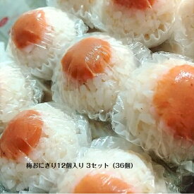 梅おにぎり 12個 3セット(36個) おにぎり お取り寄せ 混ぜ込み 専門 梅干し お弁当用 お弁当 高齢者 冷凍食品 冷凍 自然解凍 手作りおにぎり 冷凍おにぎり おむすび 米 ひとくちサイズ 小さい 手づくり キャンプ 登山 弁当 一人暮らし 食品 仕送り 梅干 梅 南高梅 送料無料