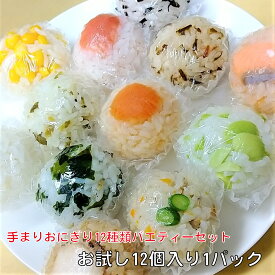 冷凍おにぎり 手まりおにぎり 12種類バラエティーお試セット12個入り おにぎり セット 冷凍 イベント 文化祭 キャンプ 美味しい 長期保存 夜食 冷凍食品 詰め合わせ 自然解凍 手づくり 登山 ご飯 弁当 鮭 梅 昆布 わかめ コーン ひじき 高菜 明太子 おむすび 送料無料