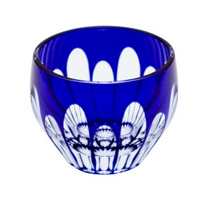 V؎q@̂݁@ی^@\Zȁ@40ml@KX@ۂ݁@؎qOX