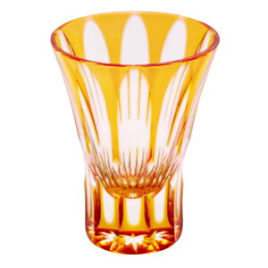 V؎q@̂݁@n^@24%@@60ml@bhNX^KX@ۂ݁@؎qOX