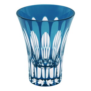 V؎q@̂݁@n^@24@ʁ@60ml@bhNX^KX@ۂ݁@؎qOX