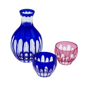 V؎q@̂݁@Zbgi@\Zȁ@220ml@+@ۂ݁@ی^@\Zȁ@40ml×2j@KX@؎qOX