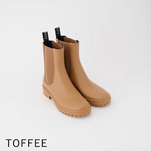 yz TEMPERATE epCg Cu[c fB[X JOEL WG u[c TChSA `FV[u[c C Jpu[c ʊw ʋ   50