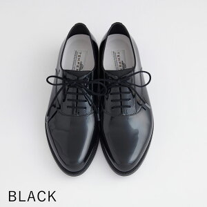 yz TEMPERATE epCg CV[Y fB[X OSTERA Xb| RC }jbV PVC IbNXtH[h Jp Vv ʋ ʊw 