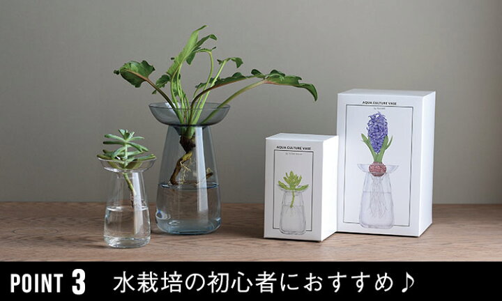 楽天市場 Kinto Aqua Culture Vase Sサイズ キントー アクアカルチャーベース 花瓶 花器 フラワーベース 多肉植物 球根 種 水栽培 水耕栽培 シンプル ハーブ ヒヤシンス サボテン アボカド ガラス グリーン インテリア 雑貨 ギフト プレゼント Tempoo Tempoo ライフ 楽天市場 Kinto Aqua Culture Vase Sサイズ キントー アクアカルチャーベース 花瓶 花器 フラワーベース 多肉植物 球根 種 水栽培 水耕栽培 シンプル ハーブ ヒヤシンス サボテン アボカド ガラス グリーン インテリア 雑貨 ギフト プレゼント Tempoo Tempoo ライフ