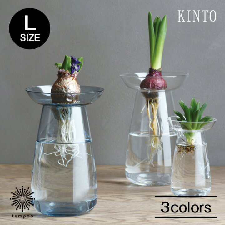 楽天市場 Kinto Aqua Culture Vase Lサイズ キントー アクアカルチャーベース 花瓶 花器 フラワーベース 多肉植物 球根 種 水栽培 水耕栽培 シンプル ハーブ ヒヤシンス サボテン アボカド ガラス グリーン インテリア 雑貨 ギフト プレゼント Tempoo Tempoo ライフ