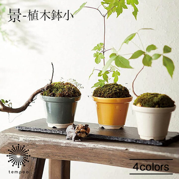 楽天市場 Aito 景 植木鉢小 アイトー ケイ 陶器 瀬戸焼 盆栽 観葉植物 多肉植物 ミニ 手のひらサイズ かわいい インテリア 雑貨 小物 お洒落 シンプル 映える インスタ映え ギフト プレゼント Tempoo Tempoo ライフスタイルテンプー