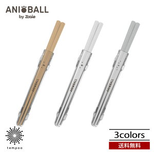 送料無料 メール便 dsk.pig アニボール 抗菌箸 天然木 抗菌加工 滑り止め加工 専用ケース付 スリム お弁当 ランチ 可愛い イヌ シロクマ ネコ ベージュ ホワイト グレー ディーエスケーピグ CB J