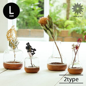 Vi[EbhKXx[X h[ `j[ LTCY SCENERY Vi[ ԕr NA  ؐg[ VR }zKj[ t[x[X  ֑} Ԋ fBt[U[ A} NG C