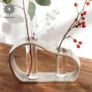 santolina [Tgi] A~KXx[X 2A ԕr NA  Vo[ t[x[X  ֑} Ԋ NG Creer CeA G Mtg v[g