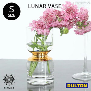 DULTON LUNAR VASE S K865-1031S [i[ ׁ[X Ԋ ԕr KX  A Lh  tHgWFjbN CX^f G _g Mtg v[g