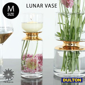 DULTON LUNAR VASE M K865-1031M [i[ ׁ[X Ԋ ԕr KX  A Lh  tHgWFjbN CX^f G _g Mtg v[g