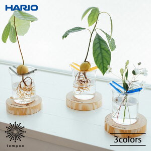 HARIO RELAXING ӂ̃nbN MHK-300 ԕr  k͔| A ϔMKX 300mLr[J[ ԕr ԗ A  A qVX A{Jh CeA  G nITCGX M