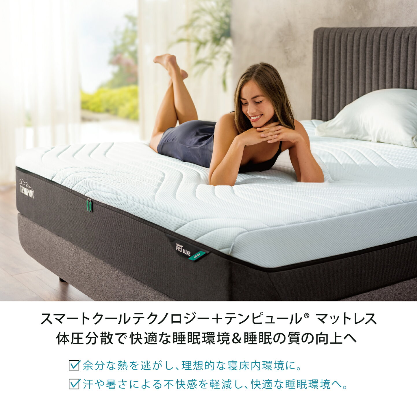 楽天市場 | テンピュール 楽天市場店 - 毎月1日はワンダフルデー