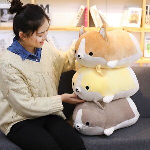 50cm R[L  Ck ʂ G܂܂ ӂӂ  lC Mtg v[g    _炩 q ޏ 킢   YQ  j 3F