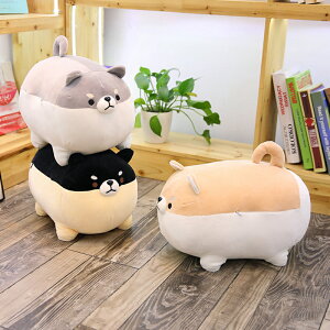 50cm  Ck ʂ G܂܂ ӂӂ  dog lC Mtg v[g    _炩 q ޏ 킢   YQ  j 3F