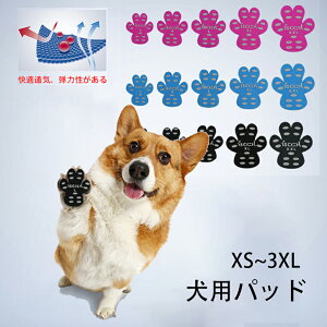  ybgpC  p pbh  ybg V[ ^ C C\[ ~  V[ ی h~ ׂ ~ ]|h~ tbg pbh ^ ^ i S S