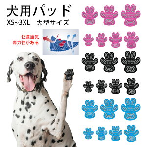  ybgpC  p pbh  ybg V[ ^^^ C C\[ ~  V[ ی h~ ׂ ~ ]|h~ tbg pbh i S S  