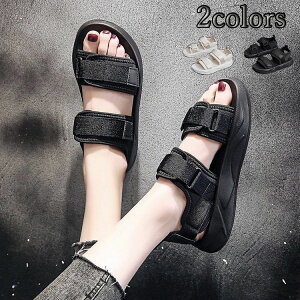 T_ fB[X  X|[cT_ T_ ~ r  ₷ Xj[J[T_ 傫TCY RtH[g V[Y y C JWA Vv 