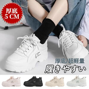 Xj[J[ fB[X V[Y _bh Xj[J[ EH[LOV[Y Cq[    킢 lC C  Xj[J[ ubN zCg sN x[W r g