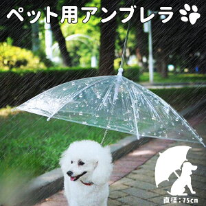  [h P U ybgpAu [htP pP ybgpP p ^ ^ ybgAu Au P t CObY 