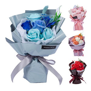 \[vt[ u[P {bNX ̓ ̓ v[g   ꂳ t[\[v ԑ  o^C a j Mtg V{t[ t    ` 