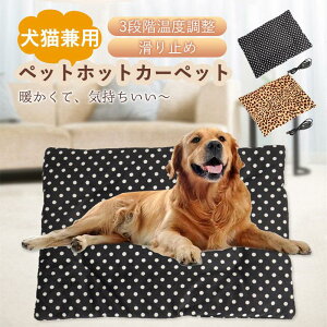 ybgpۉpbh zbgJ[ybg p Lp USB 3iKx ۉpbh ybgdCѕz dM}bg g h ~ Q