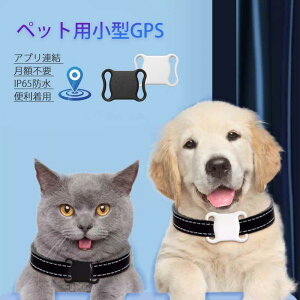 ybgpGPS zsv ~j L GPS ǐՑu ֑Ή ybgp h~ GPS LǐՑu h A[tybg GPS gbJ[