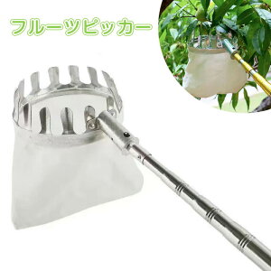 t[csbJ[ 3m ʕ } Lk ʎpt[csbJ[ ʕn }p |[ƃoXPbgtt[csbJ[ ʕLb`[ ʎpi 蓮ʕE݋@ Lk