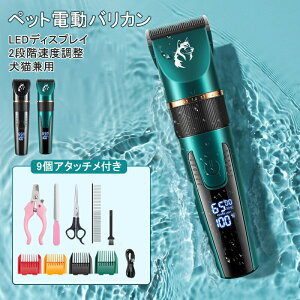 ybgdoJ  Lp oJ vdl Zt g~O 5iK荂\ 2iKx\ 9A^b`t 􂢉\̐n ؂ꖡD LEDfBXvC O\