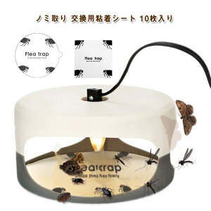 m~ 10 ߒ pSV[g m~ m~gbv m~ Q΍ m~ pV[g m~ގ  m~C nGC grVe nG m~_jގ 