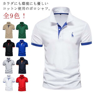 |Vc Y StEGA St| z hC |Cg  |Vc gbvX Rbg  rWlX  bV|Vc hC StEFA X|[c g